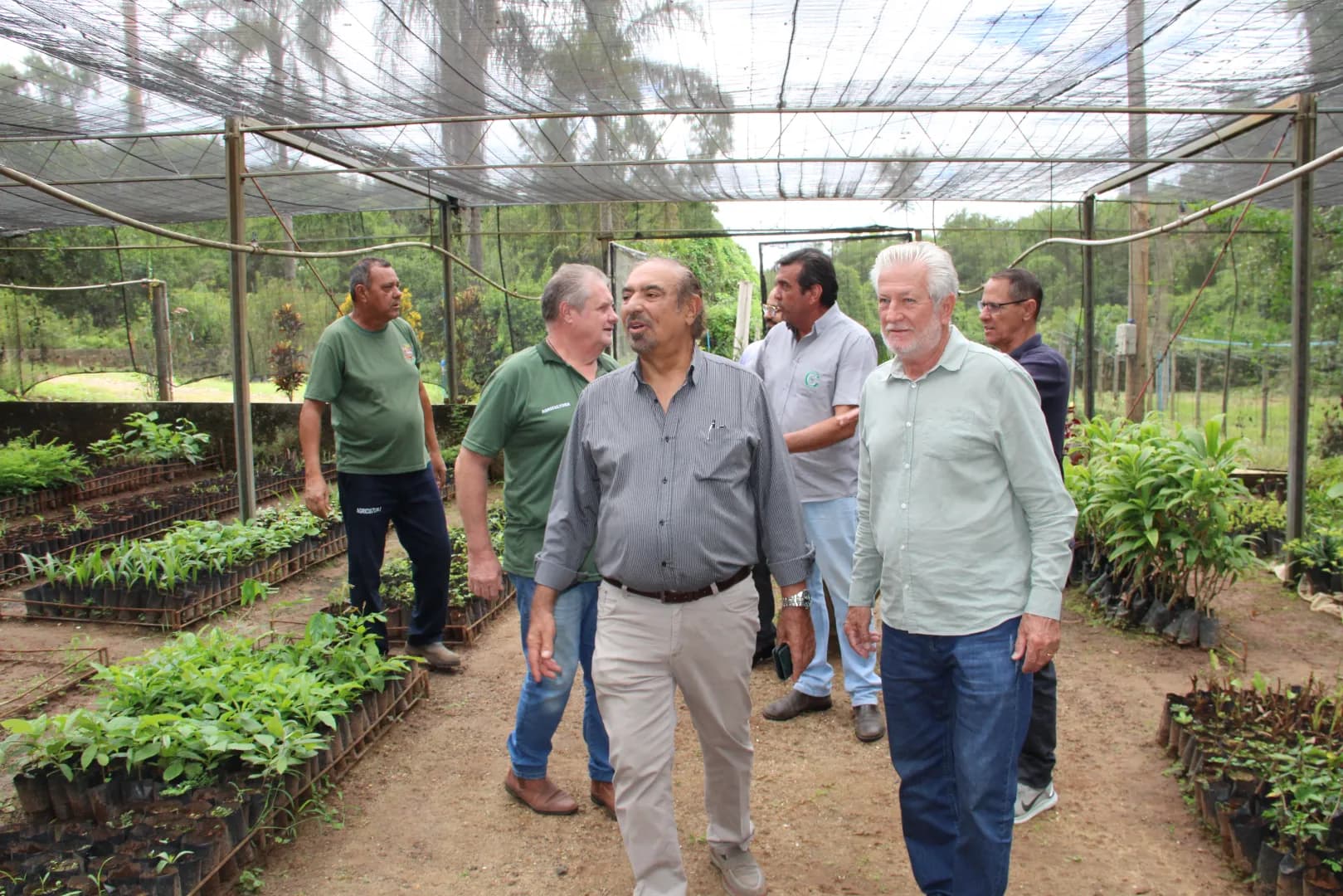 VIVEIRO MUNICIPAL VIRA REFERÊNCIA PARA FUTURO PROJETO EM AGUAÍ